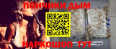 spice Гатчина