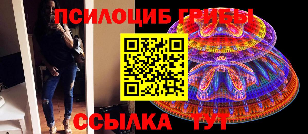 Псилоцибиновые грибы MAGIC MUSHROOMS Мценск