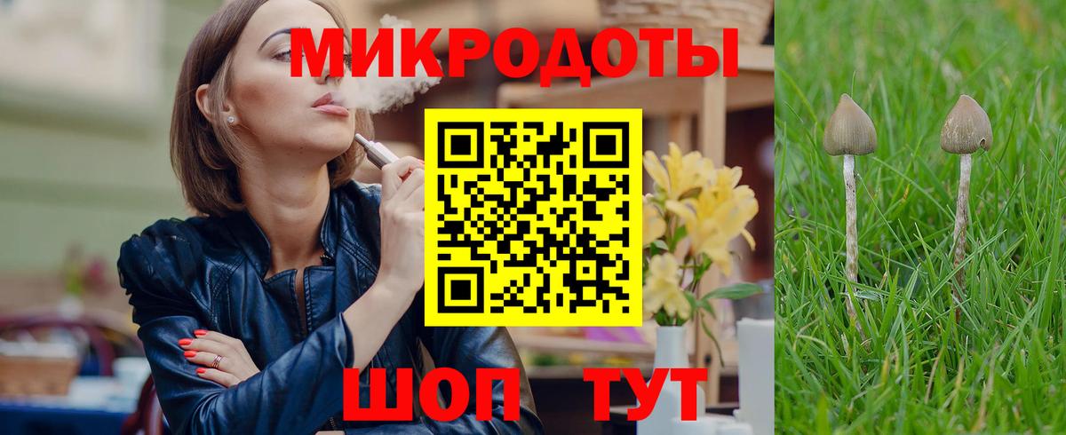 Псилоцибиновые грибы Cubensis  Вход с VPN  Галлюциногенные грибы мицелий  Мценск 